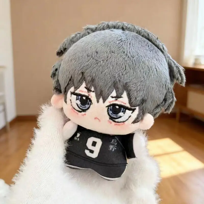 Cartoon Anime Haikyuu Shoyo Hi - Event Supplies recension och pris