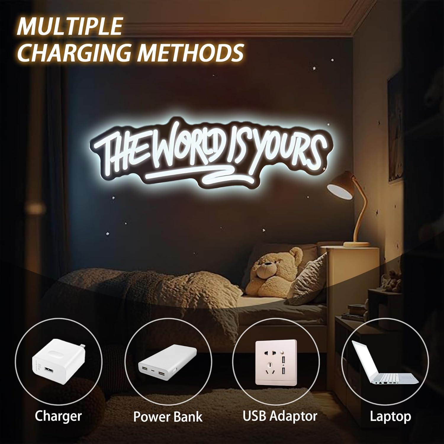 The World is Yours Neon Sign U - Neon Sign Party recension och pris